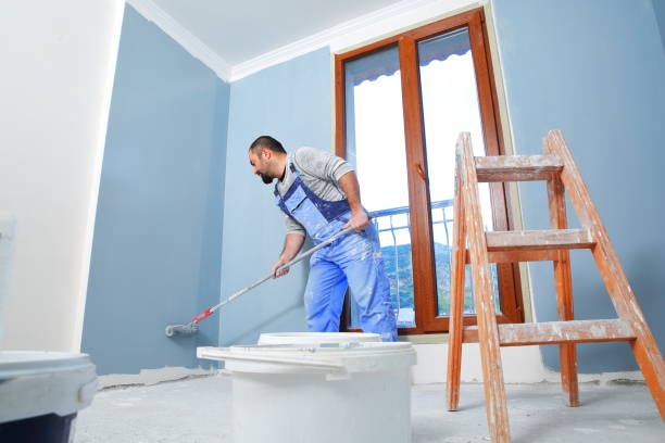 Reliable Fort Lupton, CO Mold Removal Solutions