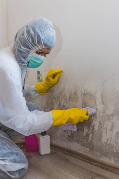 Forensic Mold Investigation in Fort Lupton, CO